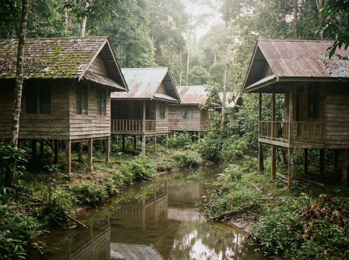Samboja Lodge, джунгли под Балипапаном